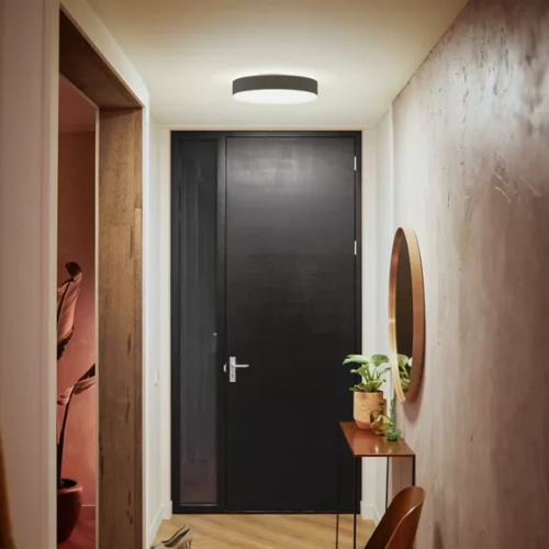 Philips Hue Enrave Medium White Ambiance Plafondlamp Zwart Met Dimmer Switch