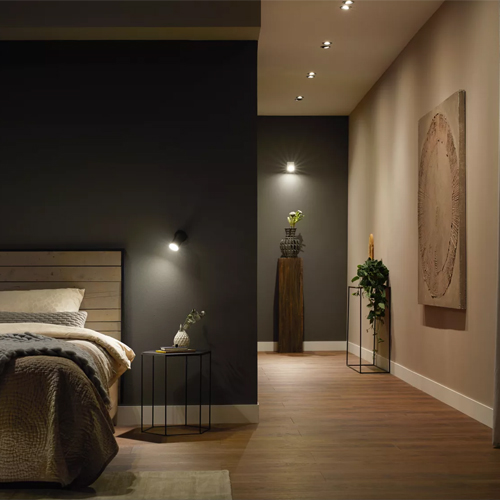 Philips Hue GU10 White DUO pack