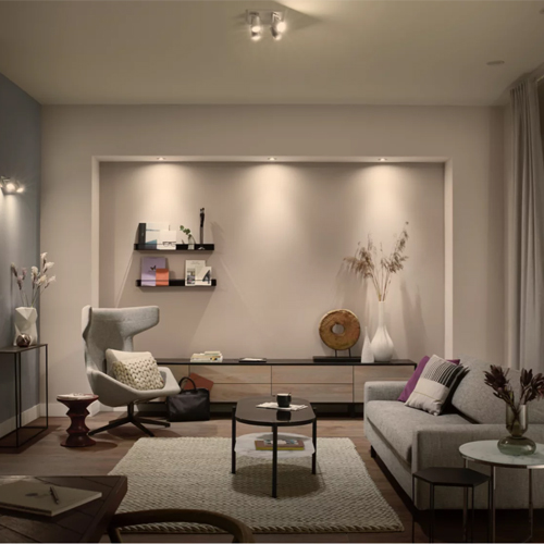 Philips Hue GU10 White DUO pack