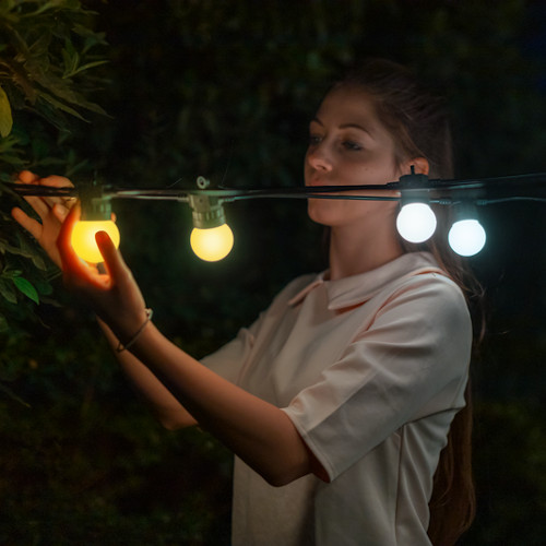 twinkly festoon