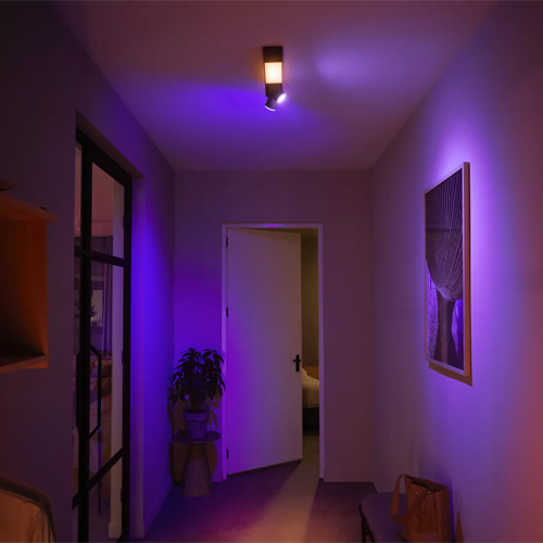 Philips Centris Opbouwspot White and Color Ambiance 2-Spot Zwart