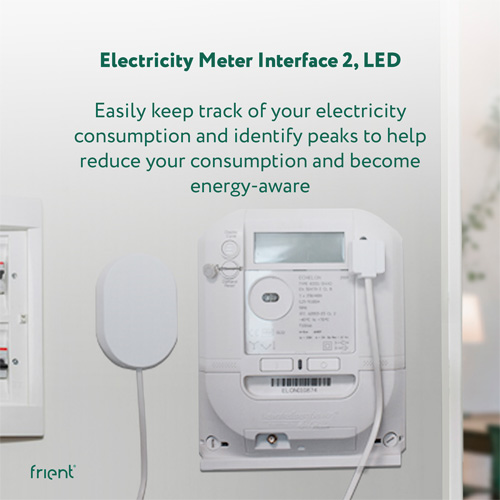 Frient elektriciteitsmeter interface