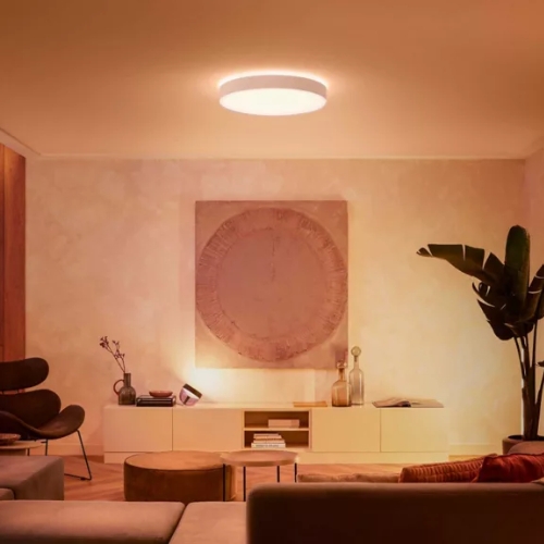 Philips Hue Enrave Large White Ambiance Plafondlamp Wit