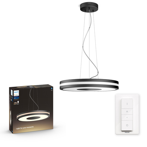 klauw Oeps Emigreren Philips HUE Pendant Simme hanglamp in het zwart | We ❤️ Smart! | ROBBshop