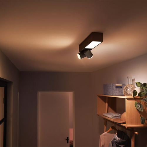 Philips Hue Centris White Color Ambiance Opbouwspot 2 Zwart