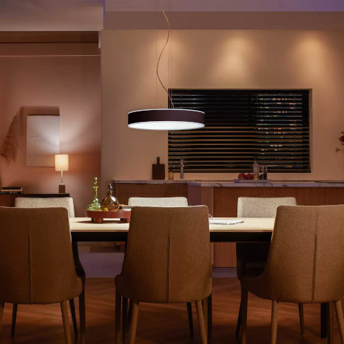 Philips Hue Enrave White Ambiance Hanglamp Zwart