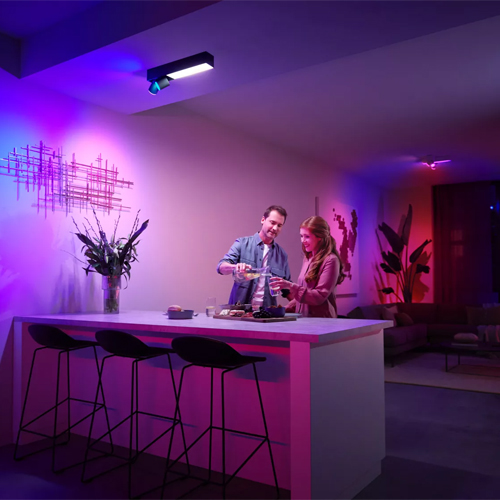 Philips Centris Opbouwspot White and Color Ambiance 2-Spot Zwart