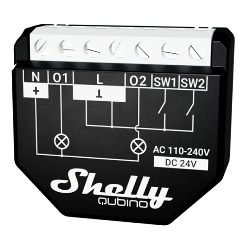 Shelly Qubino Wave 2PM