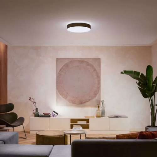 Philips Hue Enrave White Ambiance Plafondlamp Zwart
