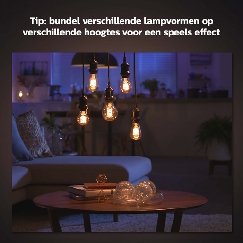 Philips Hue E27 Filament lamp Globe White XL