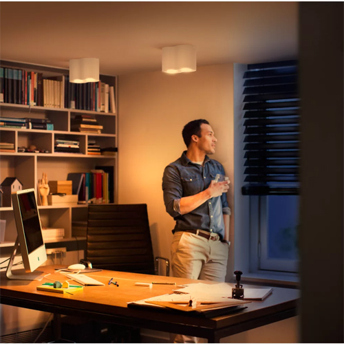 Philips Pillar 2-Spot Wit Met Dimmer Switch