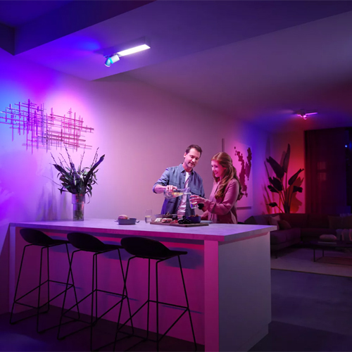 Philips Centris Opbouwspot White and Color Ambiance 2-Spot Wit