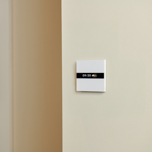 Aqara Display Switch V1