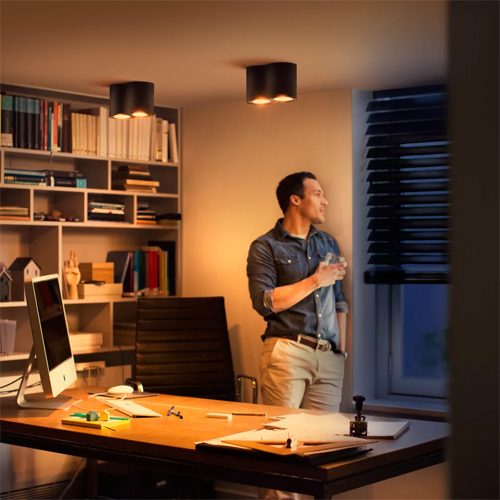 Philips Pillar 2-Spot Zwart Met Dimmer switch