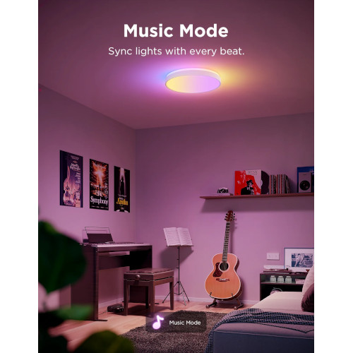 Govee WiFi Ceiling Light Pro 38cm RGBICWW