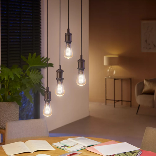 Philips Hue filament lamp Edison E27 White Ambiance