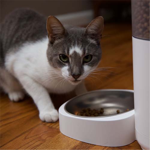 Aqara automatische kattenvoerbak