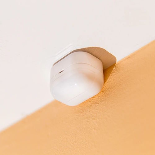 Shelly Sensor