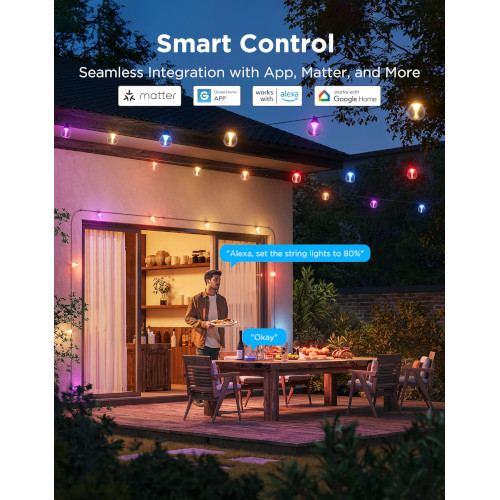 Govee Outdoor Clear Bulb String Lights