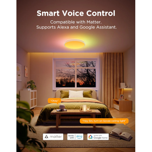 Govee WiFi Ceiling Light Pro 38cm RGBICWW