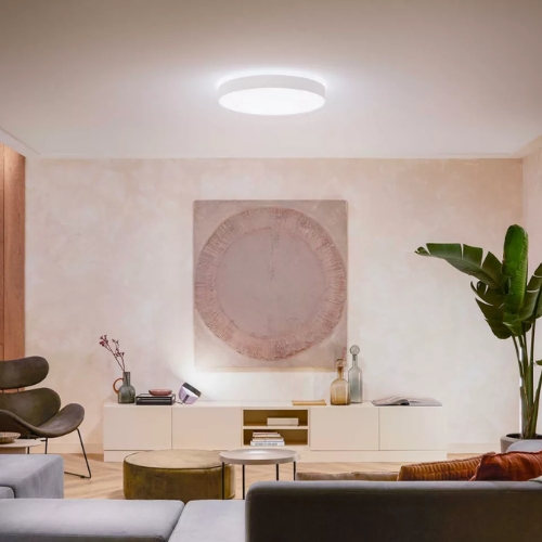 Philips Hue Enrave Large White Ambiance Plafondlamp Wit