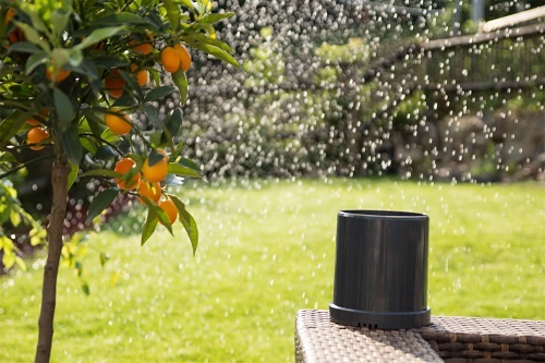 Popp Regenmeter Z-Wave Plus Z-Rain