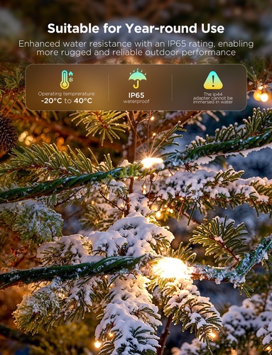 Govee Christmas ledstring RGBIC