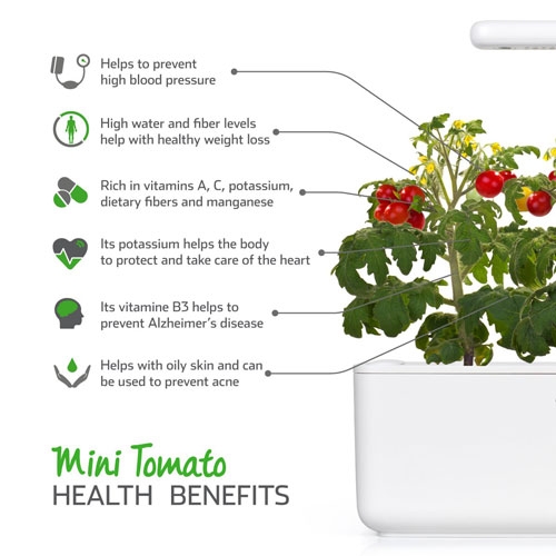 Click and Grow Mini Tomaten