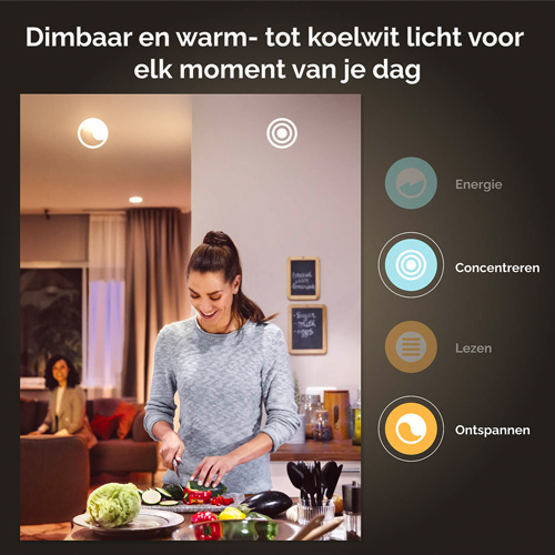 Philips Hue Centura Spot 