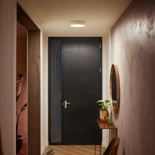 Philips Hue Enrave Small White Ambiance Plafondlamp Wit