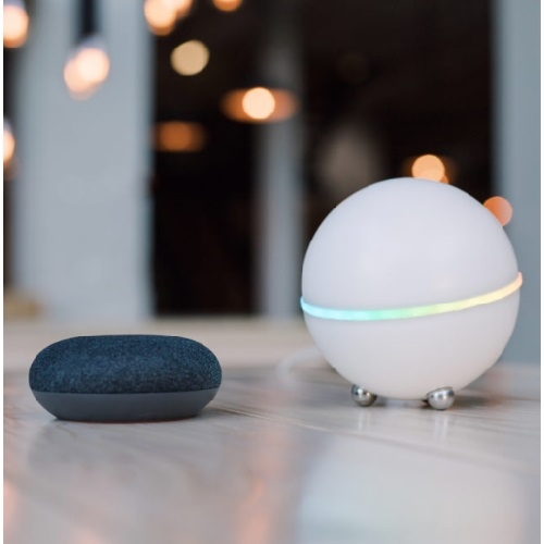 Google Google Home Mini Wit Google EOL