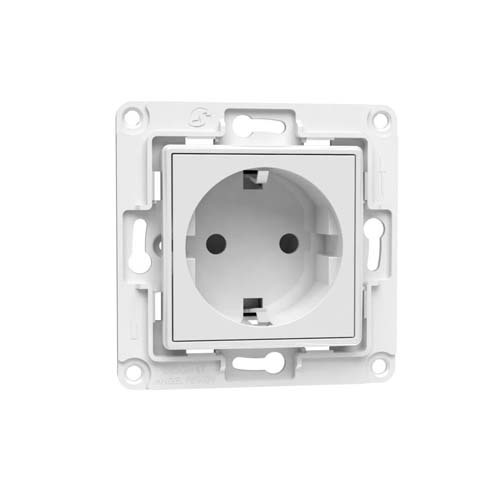 Shelly Wall Socket