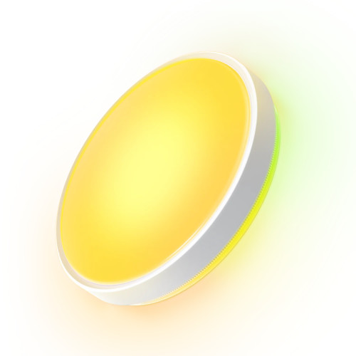 Govee Ceiling Light Pro 38cm RGBICWW