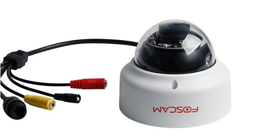 Foscam 2mp Buitencamera Poe Vandaalproof Fi9961ep EOL