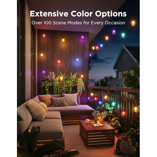 Govee Outdoor Clear Bulb String Lights