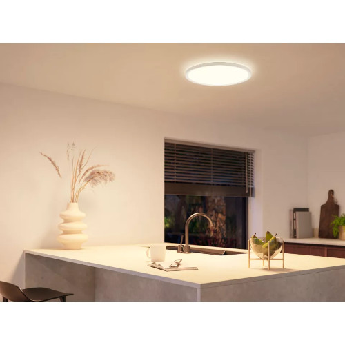 Philips Hue Tento WA PlafondLamp Rond M White