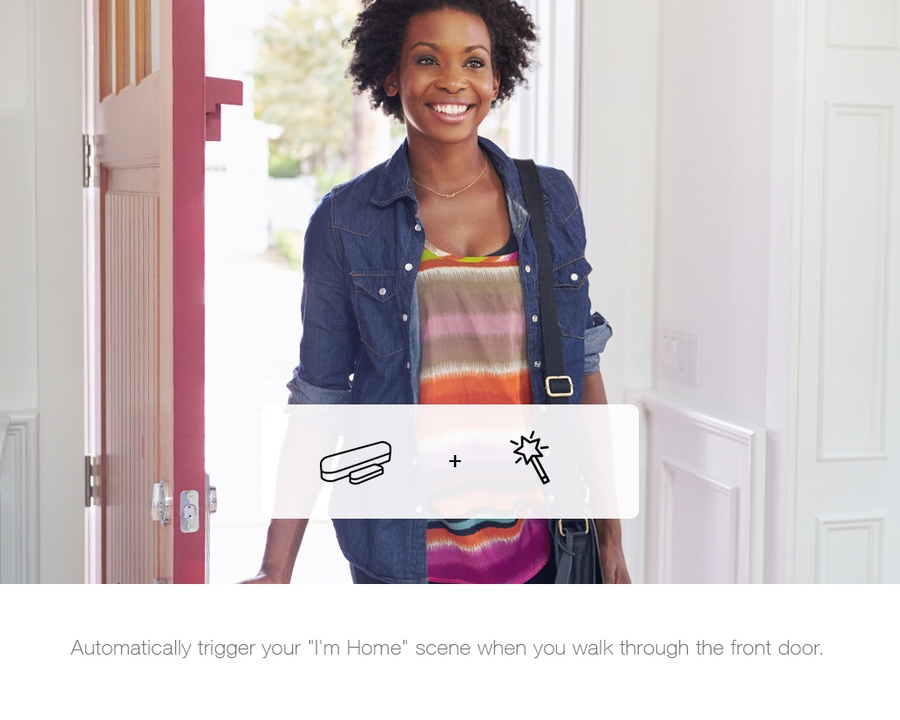 FIBARO Door Window Sensor Sensor V2 Zwart