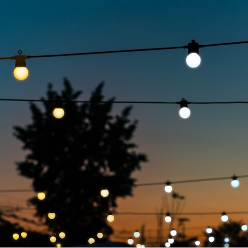 Twinkly festoon sfeer