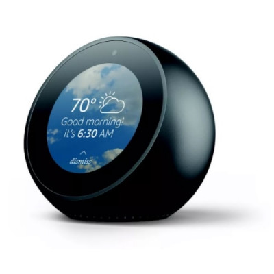 Amazon Echo FIBARO koppeling via Synology